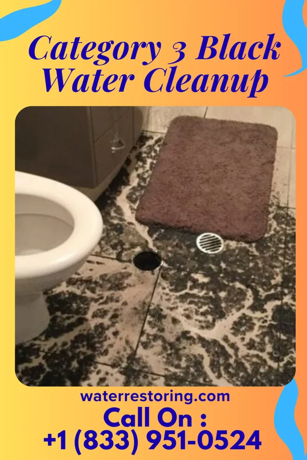 Category 3 Black Water Cleanup in Panorama Village, TX