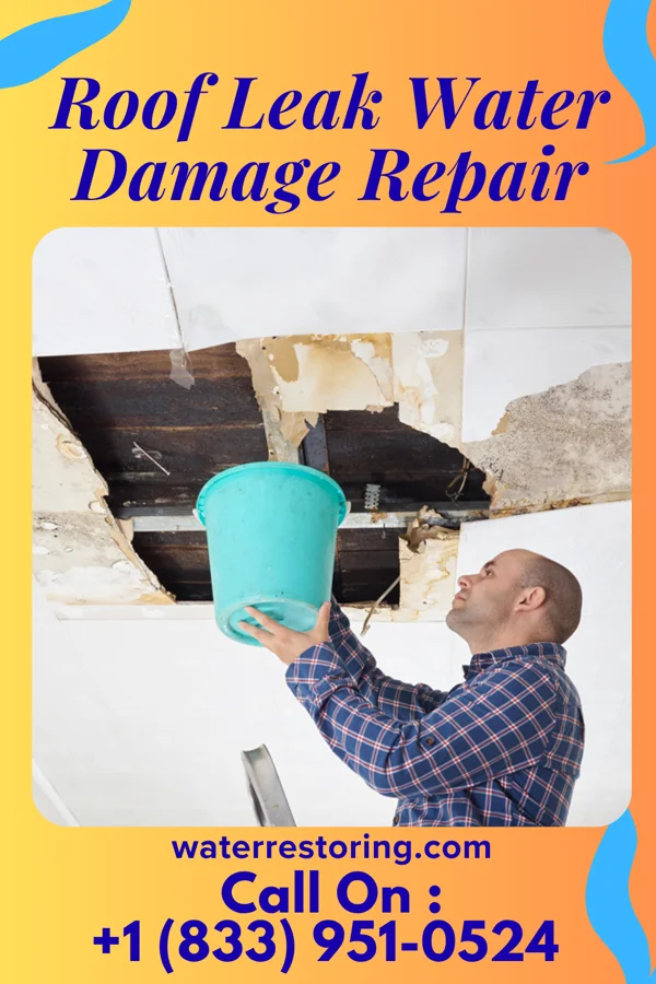 Roof Leak Water Damage Repair in Panorama Village, TX